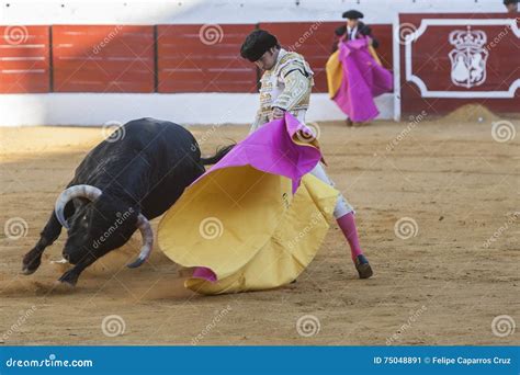 Immagine di un torero che sventola una muleta con movimenti rapidi