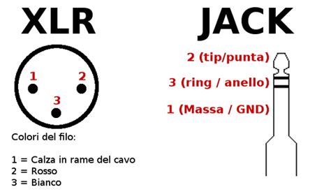 schema cavo RCA e jack