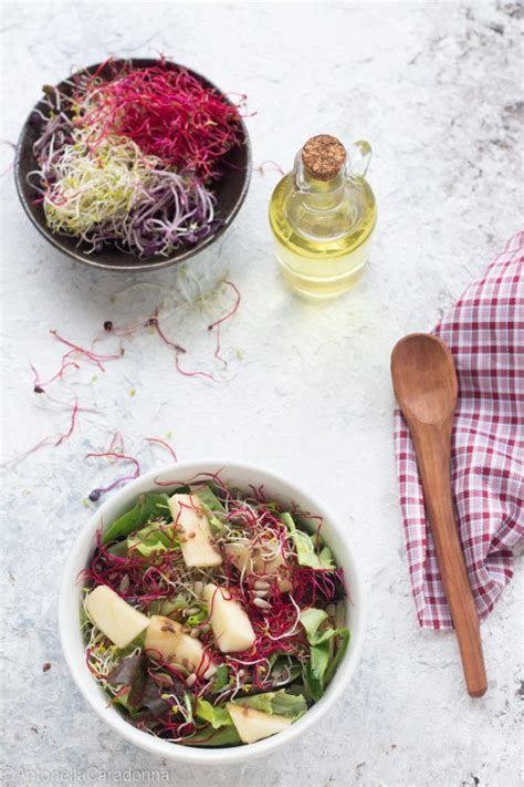 Insalata con germogli