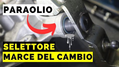 Schema del meccanismo di sblocco leva cambio Smart