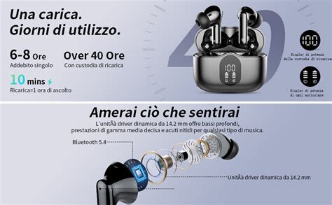 Diagramma principio funzionamento driver ibridi auricolari