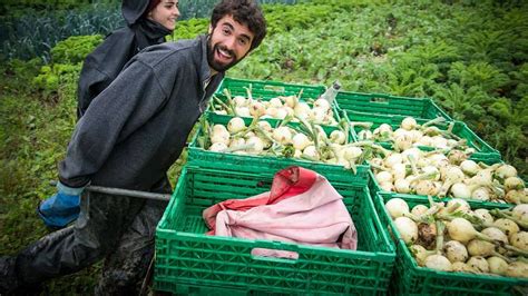 Volontari WWOOF al lavoro in una fattoria abruzzese
