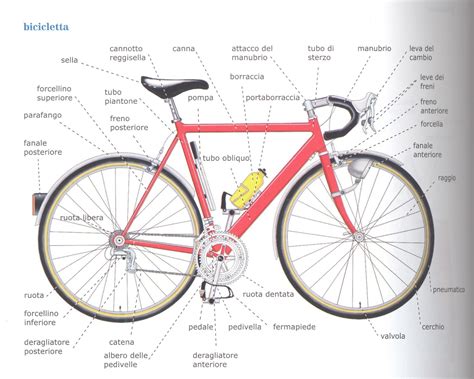Schema di un sistema di sterzo di bicicletta con componenti evidenziati