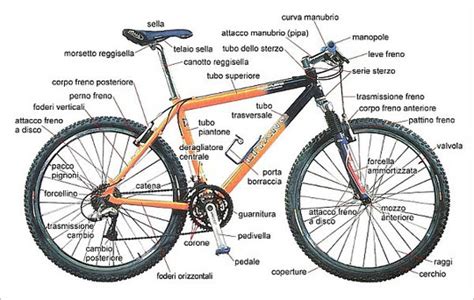 Componenti di un gruppo di trasmissione per bicicletta