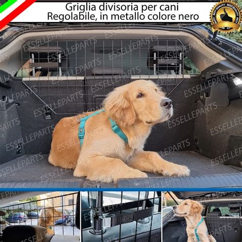 Schema di carico del bagagliaio con griglia divisoria