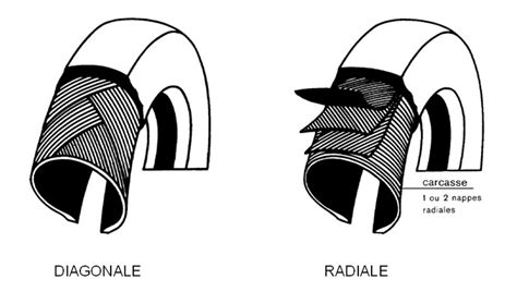 Schema comparativo tra pneumatici radiali e bias-ply
