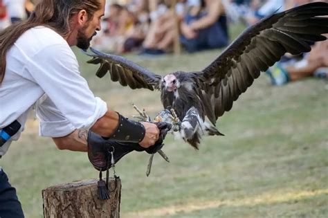 Raffigurazione di un blocco da falconeria