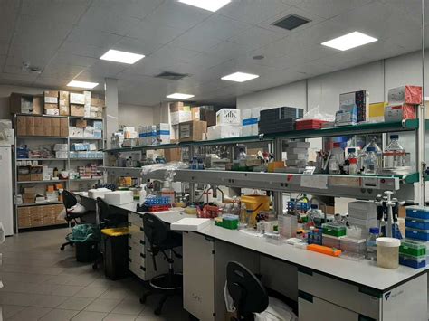 Schema di un laboratorio di ricerca e sviluppo, con attrezzature sofisticate e ingegneri al lavoro