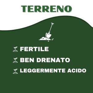 Terreno ben drenato in un vaso per piante