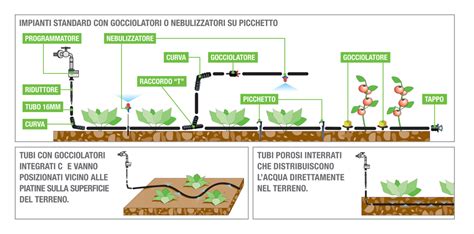 Schema di irrigazione per piante in vaso