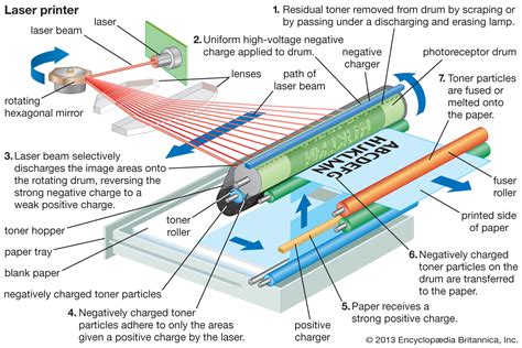 Schema funzionamento stampante laser con tamburo e cartuccia toner