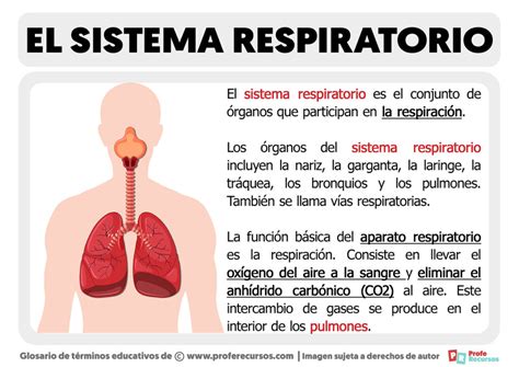Diagramma del sistema DCCD Subaru