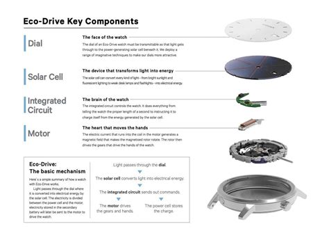 Schema di funzionamento del sistema Eco-Drive Citizen