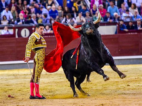 Torero con la capa rossa in una corrida