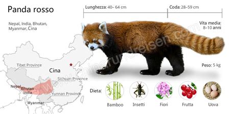Mappa della distribuzione del panda rosso in Asia