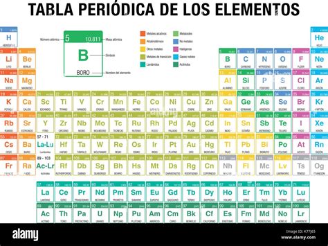 Illustrazione degli interventi inclusi nel tagliando
