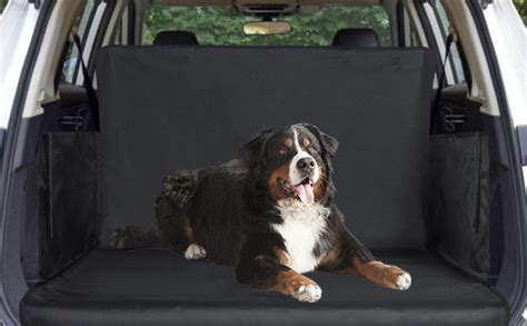 Bagagliaio spazioso per cane
