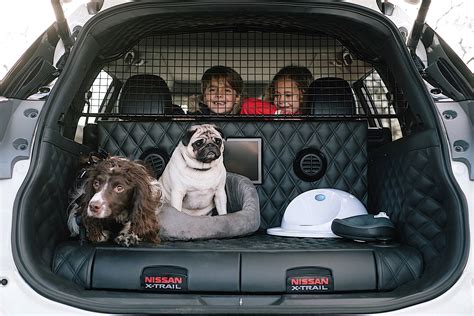 Nissan X-Trail 4Dogs interni