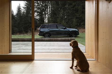 SUV di lusso per cani