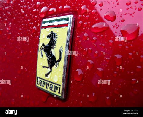 Logo Ferrari con il Cavallino Rampante su sfondo giallo