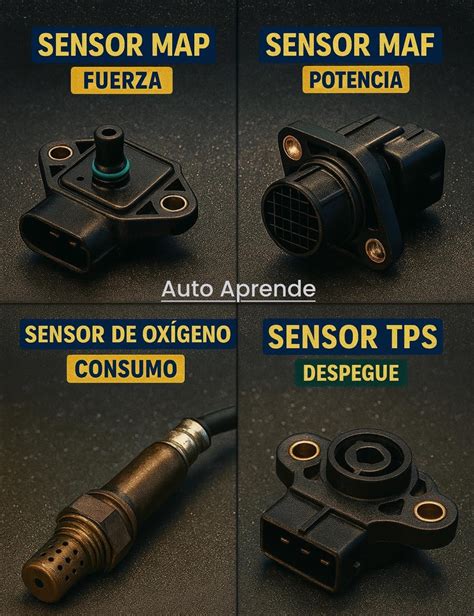 Rappresentazione dei sensori MAF, TPS e MAP in un motore