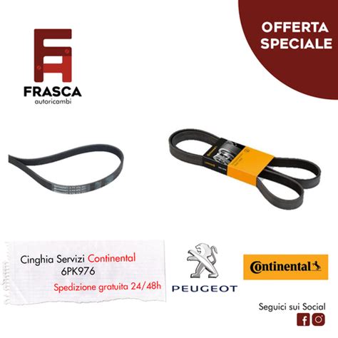 Cinghia servizi motore Peugeot 206