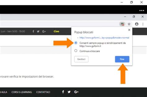 Immagine di un browser web con finestre pop-up di cookie