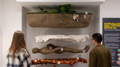 Rappresentazione di un'indagine archeologica forense su resti umani