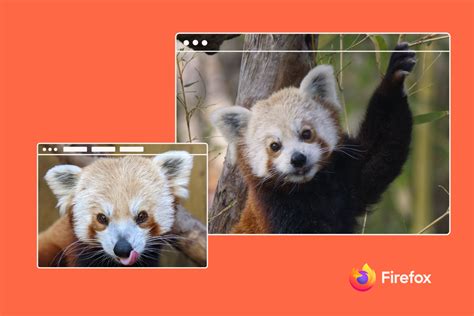 Panda rosso simbolo Mozilla Firefox