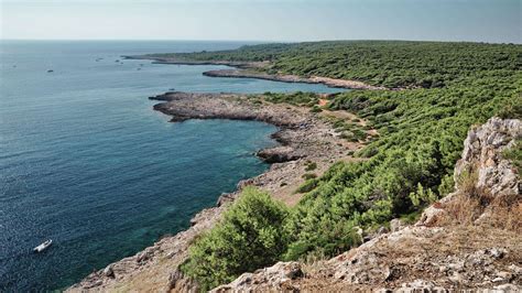 Panoramica di un convoglio 4x4 in un ambiente naturale selvaggio