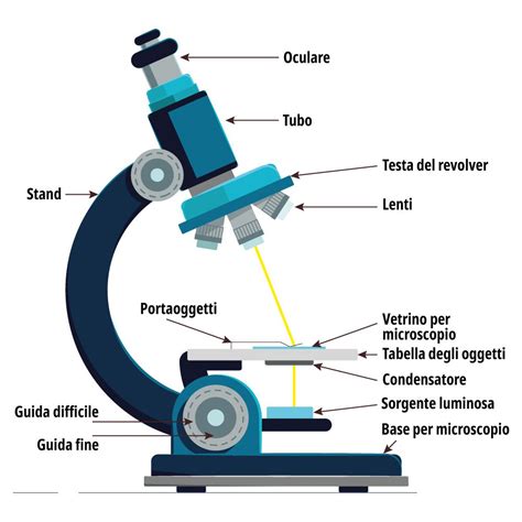 Microscopio che esamina una lente a contatto