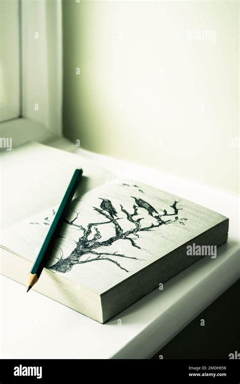 Libro aperto con una matita e note