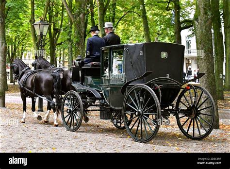 Carrozza da parata con cavalli