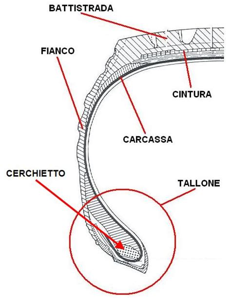 Schema della struttura interna del pneumatico Toyo Tranpath MP4
