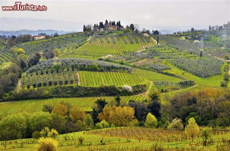 Paesaggio collinare toscano in prossimità di Volterra