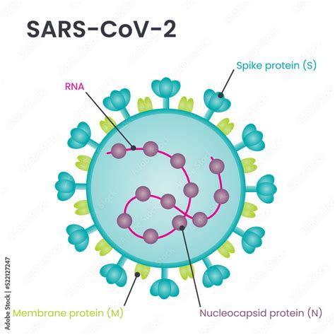 rappresentazione stilizzata del coronavirus SARS-CoV-2 e bambini in ambienti diversi