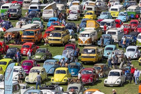 Illustrazione di diversi modelli VW aircooled in un raduno