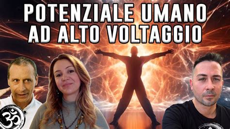 Schema dettagliato di una batteria ad alto voltaggio per veicoli elettrici, mostrando i moduli e le celle