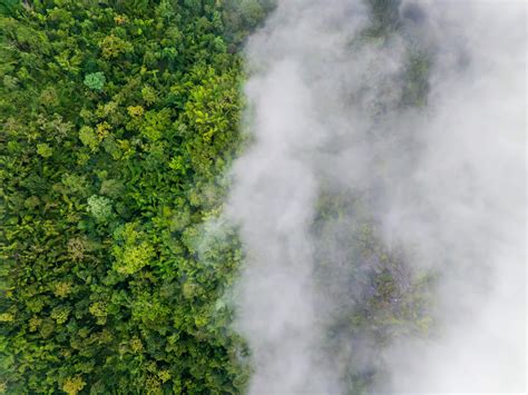 Veicoli che emettono vapore acqueo e CO2