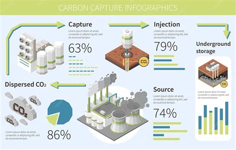 Infografica sui benefici della cattura del carbonio