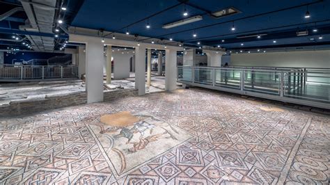 Mosaici della Domus dei Tappeti di Pietra
