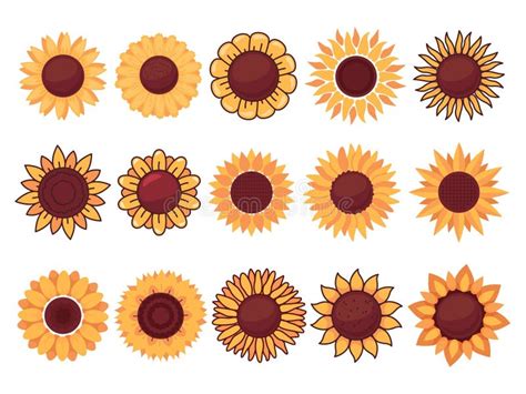 Illustrazione di diverse forme di corolle floreali