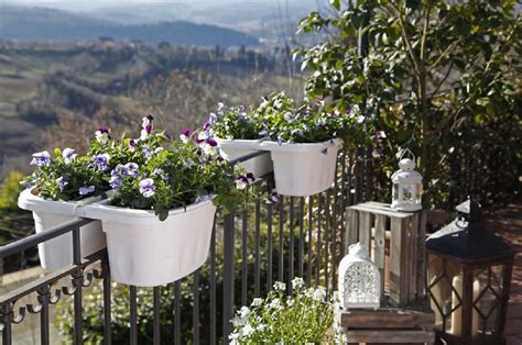 Calibrachoa in cesti appesi e vasi da balcone