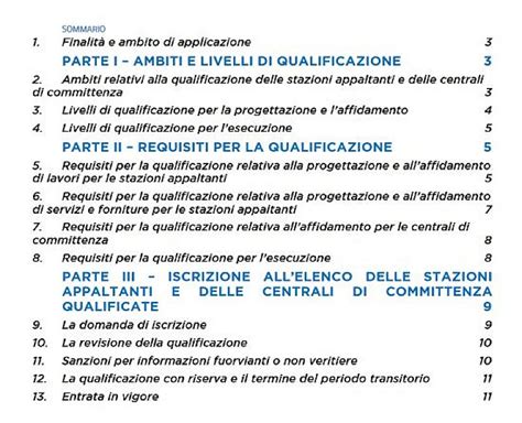schema che illustra la struttura e i punti chiave delle linee guida ANAC n. 11