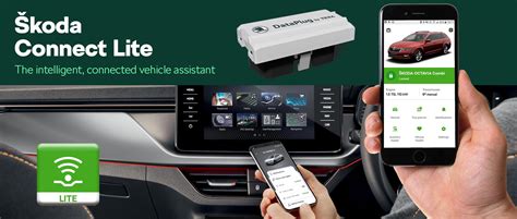 Schermata di ŠKODA Connect su display dell'infotainment