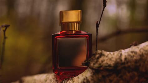 Composizione piramidale di un profumo legnoso speziato