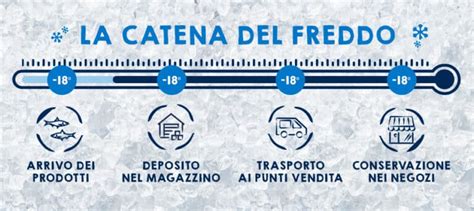 schema della catena del freddo nel trasporto alimentare