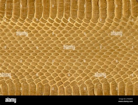 Tessuto in pelle di serpente con texture realistica