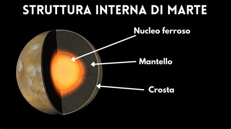 Struttura interna di un'armonica