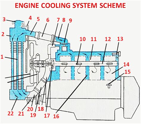 Schema di un sistema di raffreddamento di un'automobile